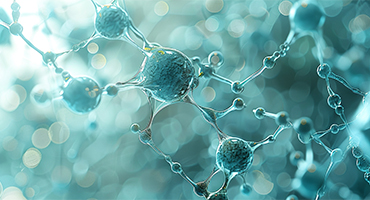 N&uuml;kleoplasti ve Menopozda Biyoeşdeğer Hormon Tedavisi: Modern Tıbbın Konforlu &Ccedil;&ouml;z&uuml;mleri